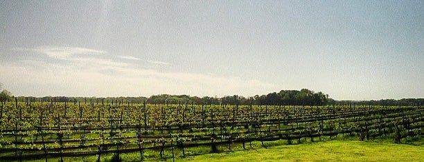 Paumanok Winery is one of North Fork.