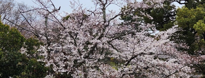 Tenbin Yagura is one of 日本の100名城.