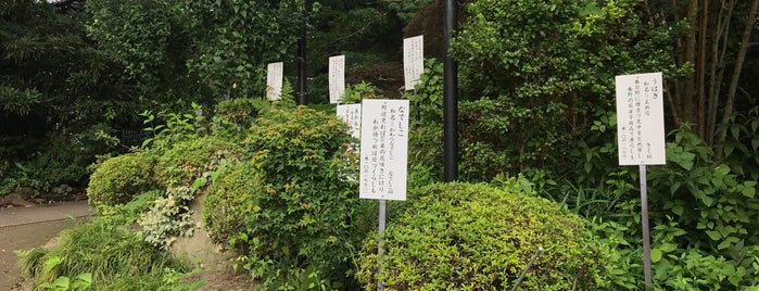 万葉植物園 is one of Tokyo - III (Tama area).