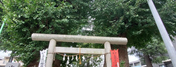 埼玉県の行ってみたい神社