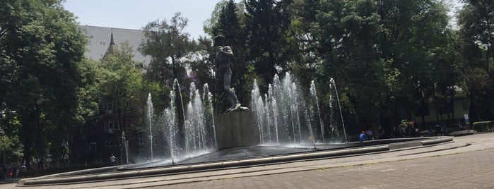 Plaza Rio de Janeiro is one of Mexico City.