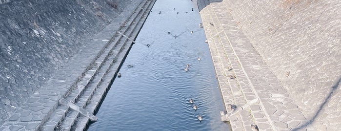 宮木橋 is one of 善福寺川に架かる橋.