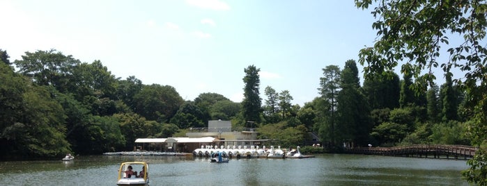 Inokashira Park is one of Tokyo.