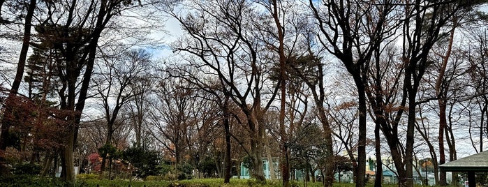 Tsukayama Park is one of 【関東】都県立都市公園一覧.