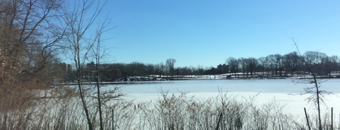 Weequahic Park is one of Parks.