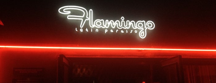 Bar Flamingo is one of Drink, not drunk.