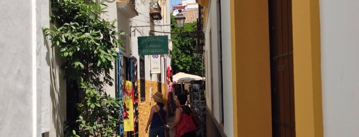 Barrio Santa Cruz is one of Lugares favoritos de Rafael.