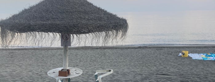 Liceo Playa is one of Restaurantes Málaga 2.