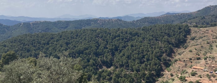 Parque Natural Montes de Málaga is one of Qué ver en Málaga.