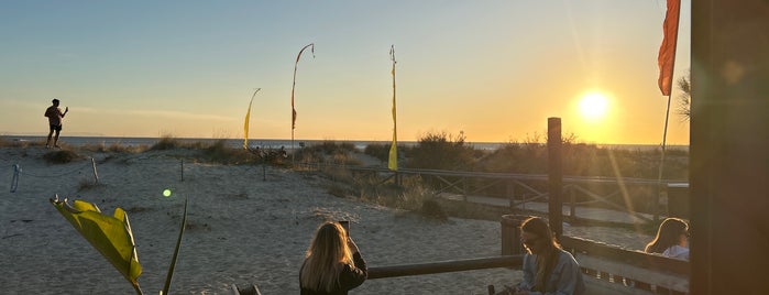 Waves Beach Bar is one of Cadiz.