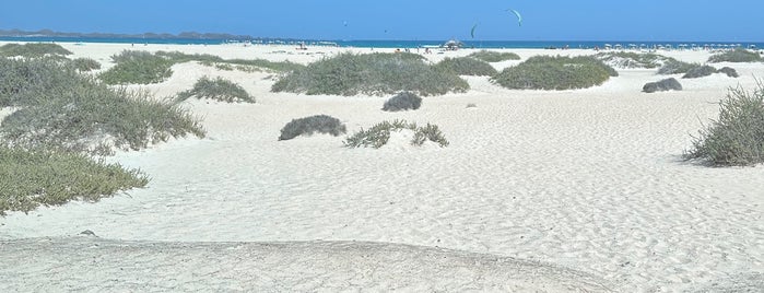 Playa de Flagbeach is one of Fuerteventura, Spain.
