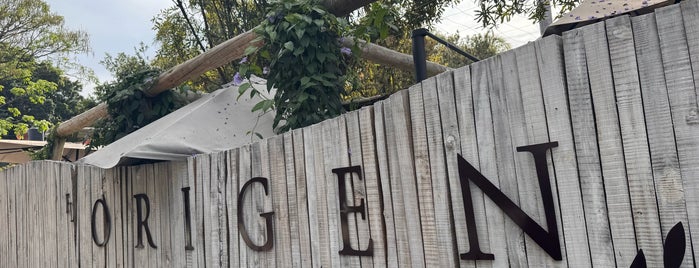 Restaurant El origen is one of Gerardo.