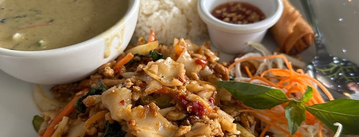 Thai Noodle Wave is one of Dallas yums.