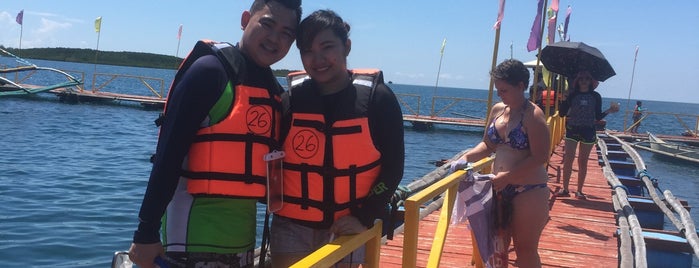 Pambato Coral Reef View is one of Places to go around Puerto Palawan.