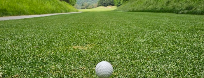 BLUE HERON Golf Club is one of Golfing.
