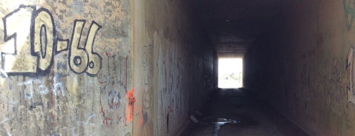 Graffiti Tunnel is one of Public Art in Columbia, SC.