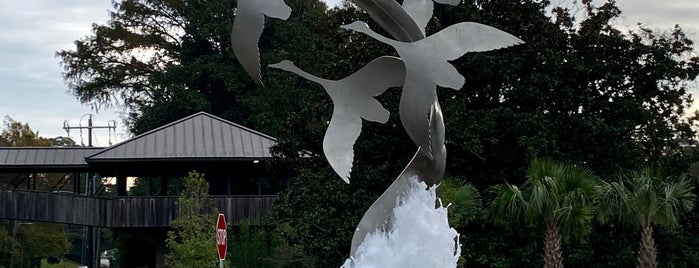 Swan Lake Iris Gardens is one of South Carolina.