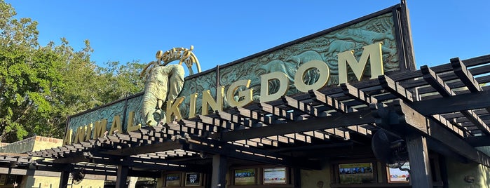 Animal Kingdom Main Entrance is one of My favorites for Theme Parks.