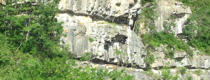 Racoon Mountain is one of Great Hiking in SE Tennessee.