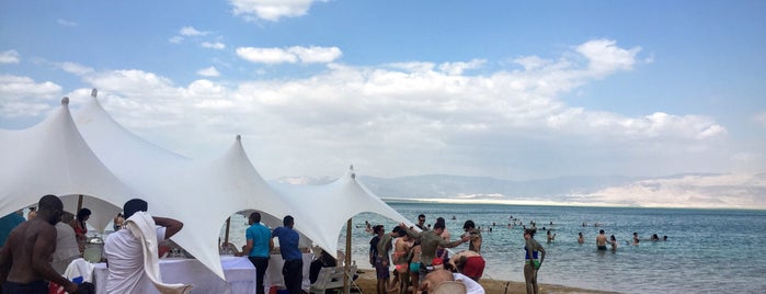 Dead Sea Beach is one of Best of: Israel.