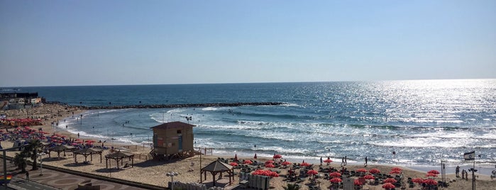 Royal Beach Tel-Aviv Hotel is one of Best of: Israel.