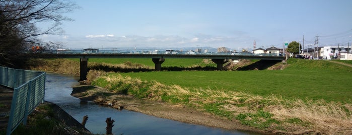 市の川橋 is one of 埼玉県_東松山市_1.