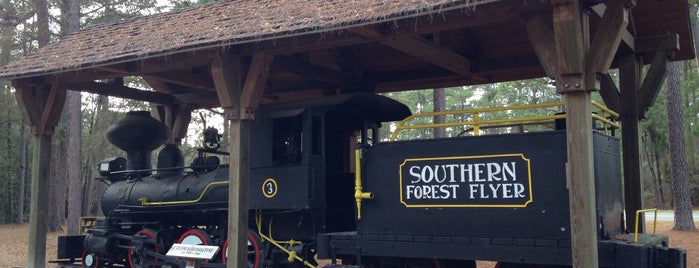 Southern Forest World is one of Attractions.
