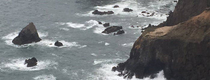 Cape Foulweather Lookout is one of Lieux qui ont plu à katy.