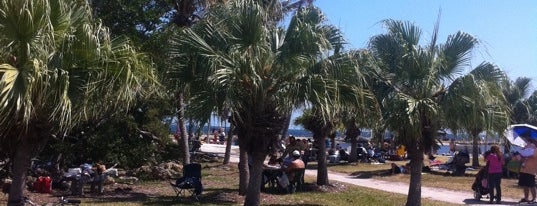 Matheson Hammock Park is one of Favorite Family Outing.