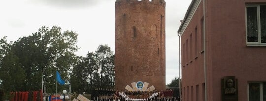 Каменецкая башня is one of Замкі Беларусі.