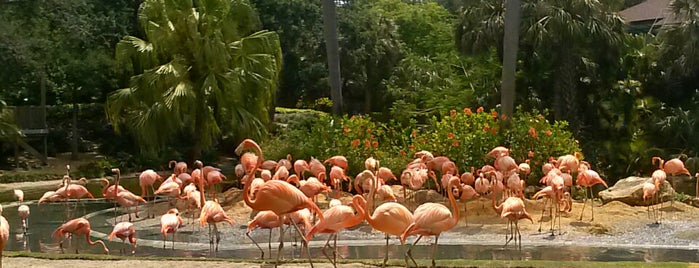 Bird Gardens is one of Jose Fernando'nun Beğendiği Mekanlar.