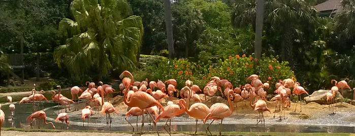 Bird Gardens is one of Lugares favoritos de Jose Fernando.