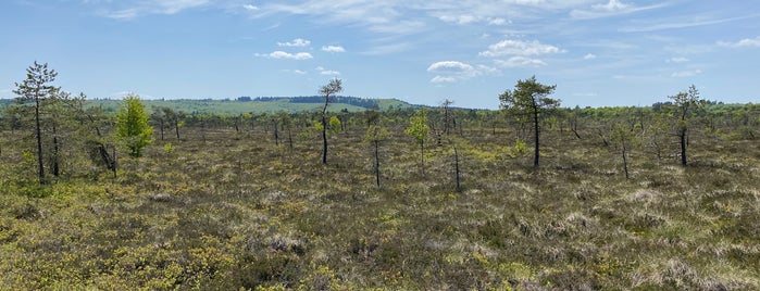 Schwarzes Moor is one of To-Do-Rhön.