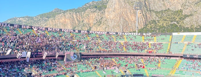 Stadio Renzo Barbera is one of สถานที่ที่ Daniele ถูกใจ.