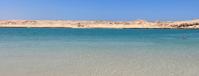 Ras Mohammed National Park is one of Danieleさんのお気に入りスポット.