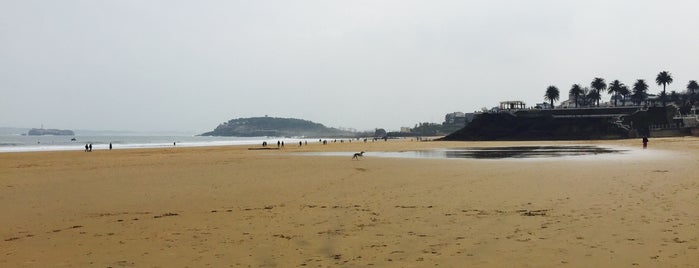 Playa de Mataleñas is one of Daniele’s Liked Places.
