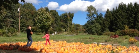 Silamar Farm Market is one of Lieux qui ont plu à Johnnie.