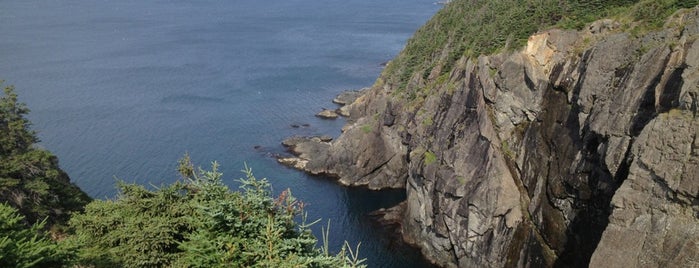 East Coast Trail is one of Newfoundland.
