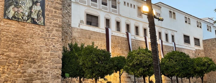 Muralla del Castillo-Alcazaba is one of Kiberly : понравившиеся места.
