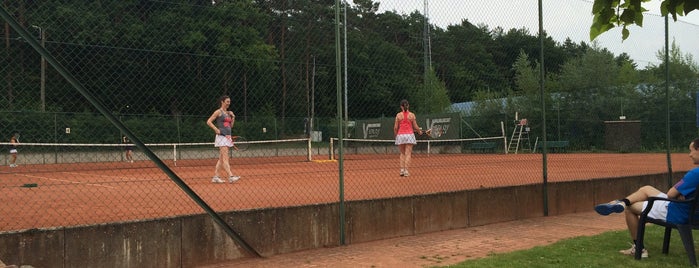 TC Meerdaal is one of Tennisclubs Leuven.