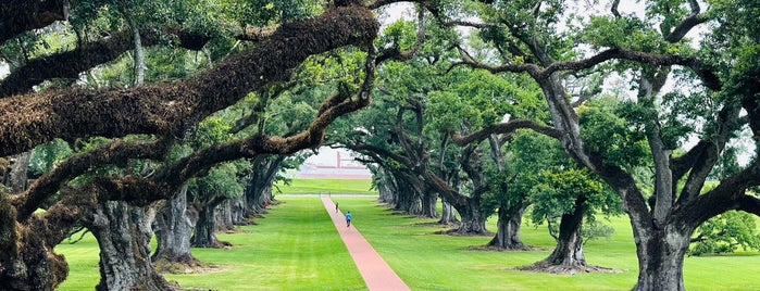 Oak Alley Plantation is one of What we love about New Orleans.
