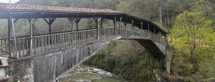 Kiremitli Kopru is one of Doğu Karadeniz'deki Tarihi Köprüler.