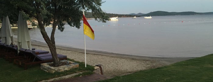 Ortunç Clup is one of Beach.