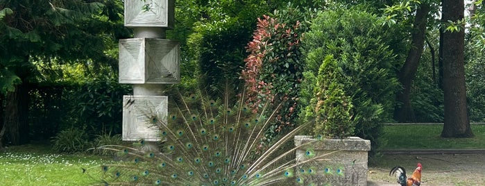 Jardins do Palácio de Cristal is one of Outdoors Interessantes.