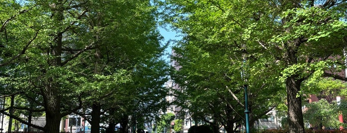 Hamacho Park is one of Nihonbashi.