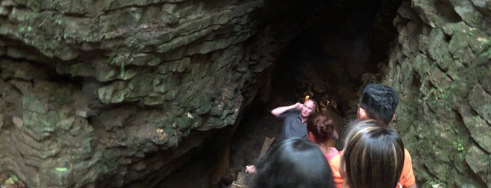 Footwhistle Glowworm Cave is one of waitomo wander.
