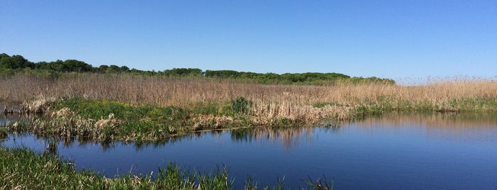 Mentor Marsh State Nature Preserve is one of Places I go regularly.