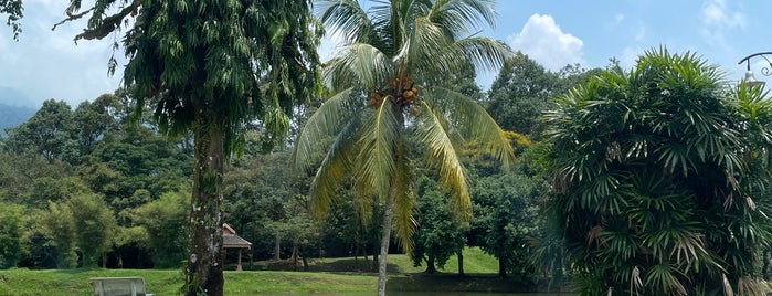 Taman Tasik Taiping (Lake Garden) is one of Lieux qui ont plu à See Lok.