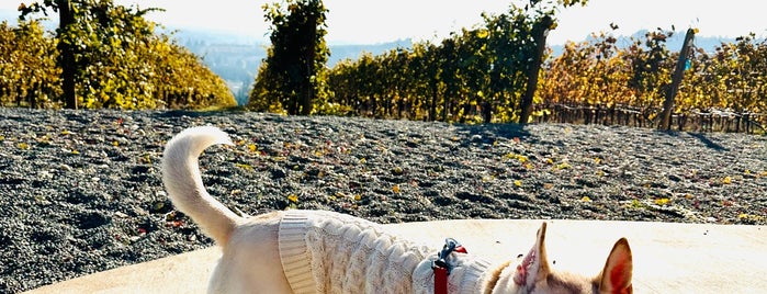 Furioso Vineyards is one of Adventure - USA.