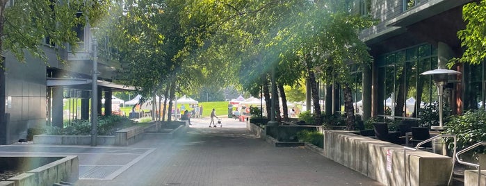 South Waterfront Farmers Market is one of PDX.